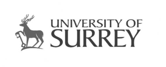 university of surrey