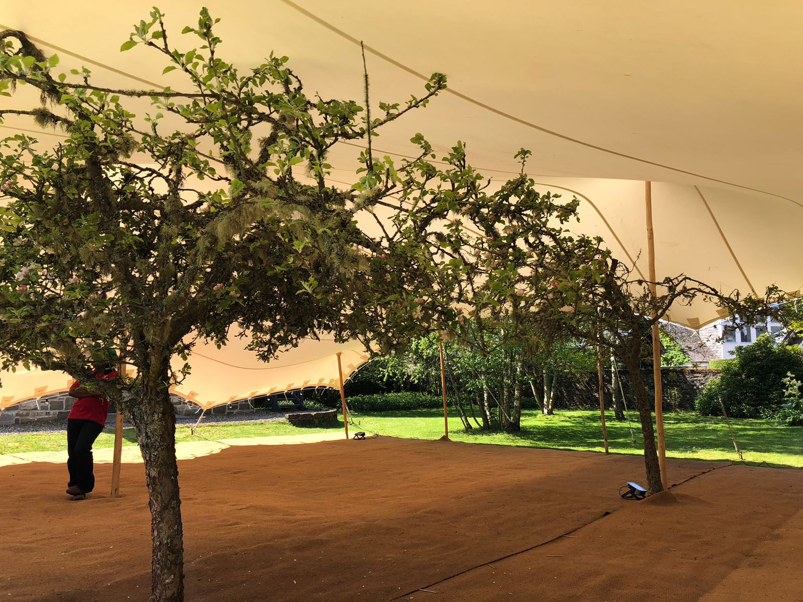 Rigging over trees